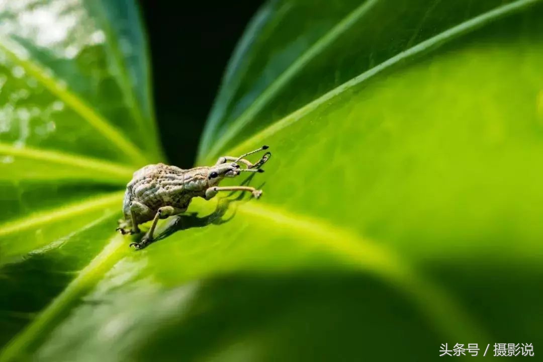 nisi耐司滤镜,nisi耐司滤镜钻石版