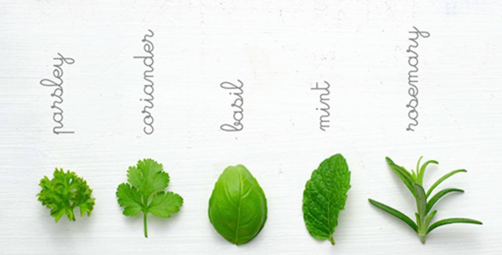 米其林顶级甜品,米其林餐厅甜品顶级