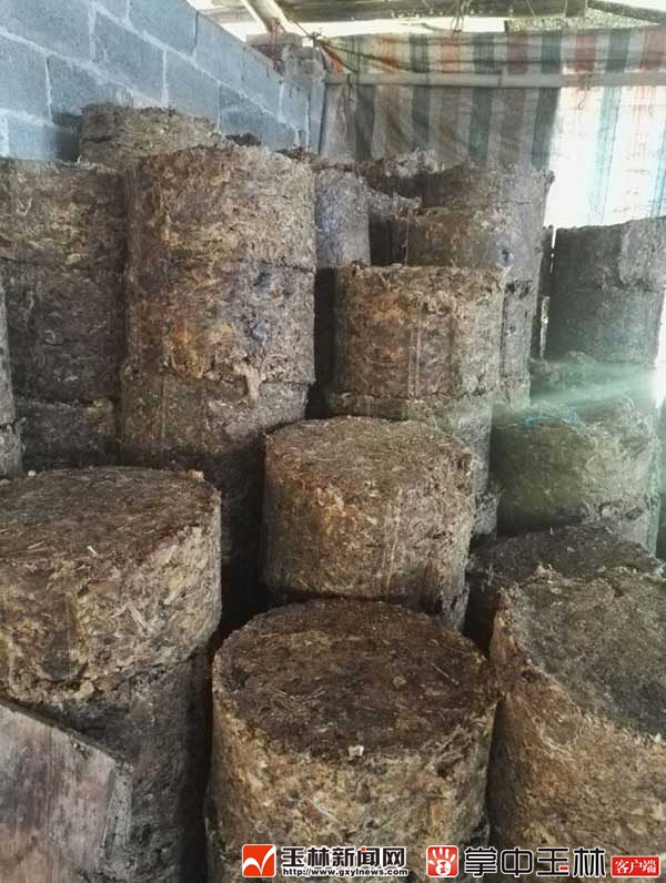 成均炼油黑作坊已被勒令停业所炼猪油未发现用在食品行业