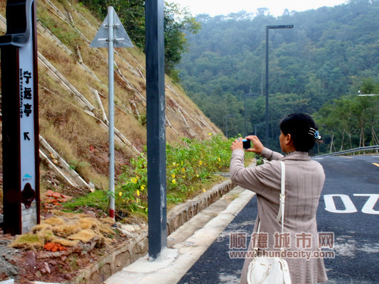 采风的活动,采风活动