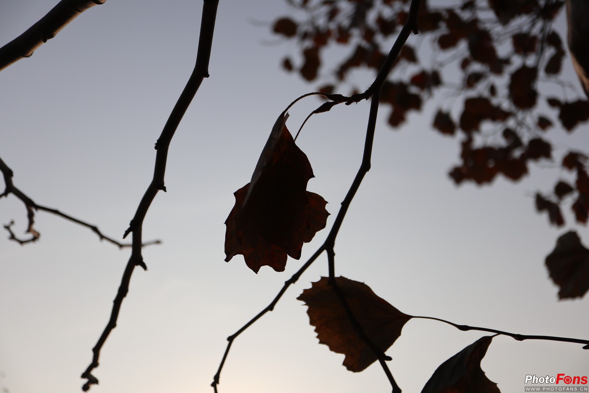 无反长焦镜头,18-50f2.8变焦镜头