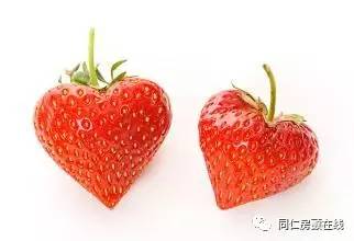 房颤的急救治疗方法,房颤的诊断及治疗方法