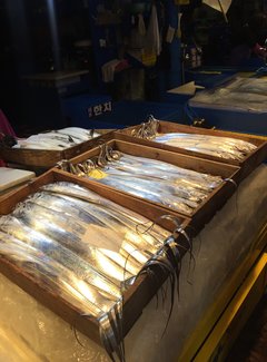 精致邮轮千禧号五天四晚日韩游,千禧号邮轮阿拉斯加