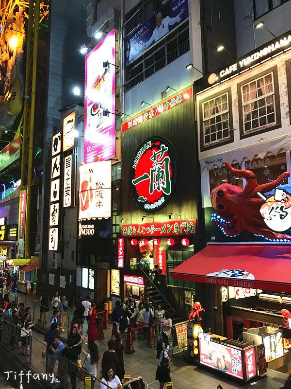 京都10月旅游攻略,京都枫叶季一日游