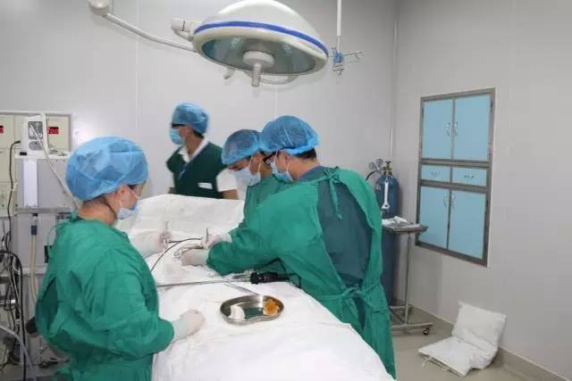 肾结石的救星来了,结石的大克星来了