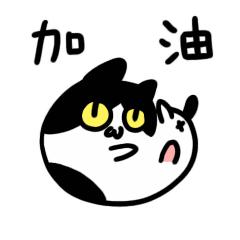 广东全国青少年足球特色学校,2019年全国校园足球特色学校名单