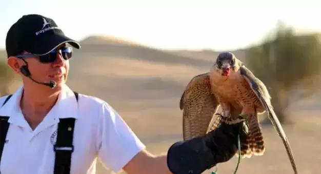 迪拜王子开车去沙漠越野,沙漠越野迪拜沙漠汽车赛
