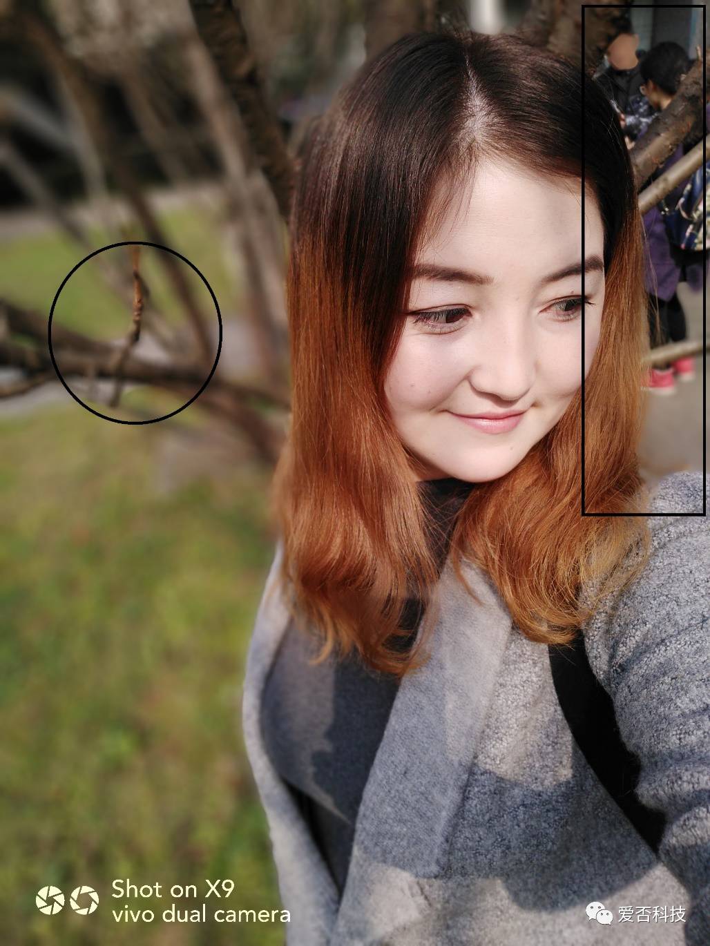 vivox9s浣撻獙,vivos12璇勬祴