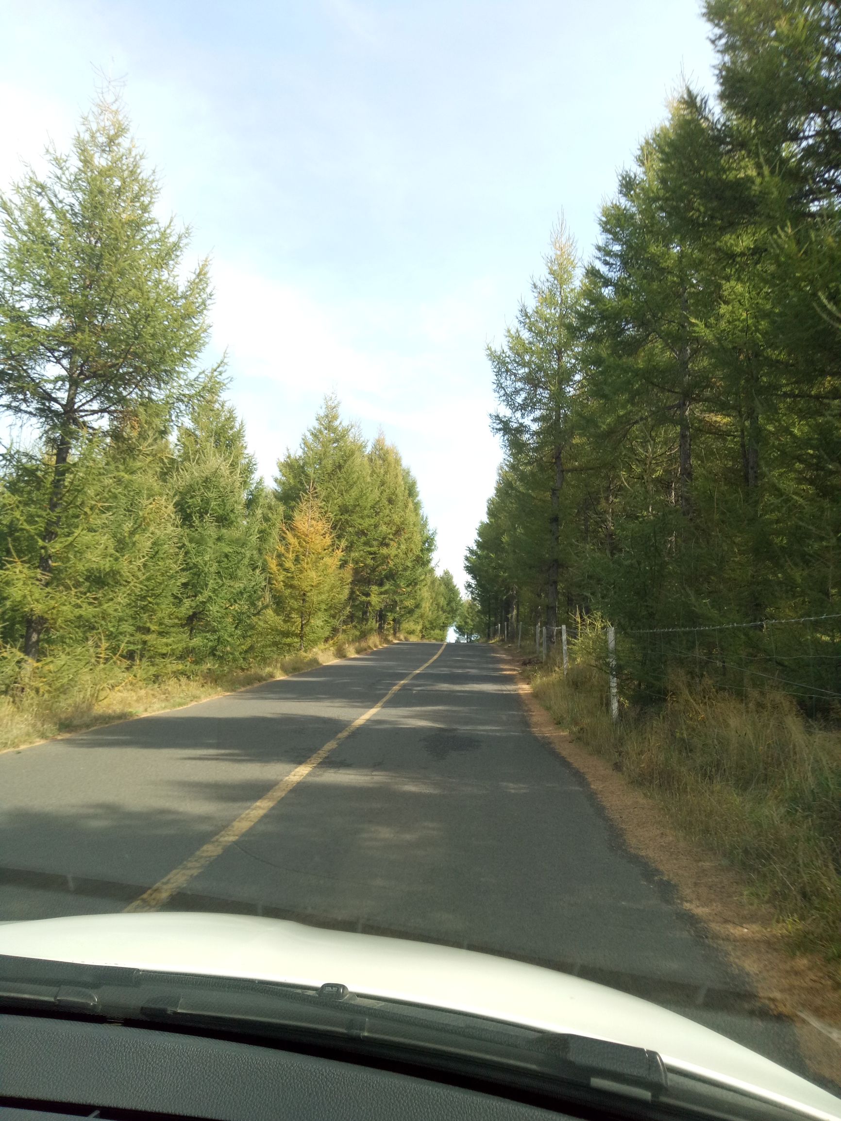 张北的草原天路之旅,张北天路攻略