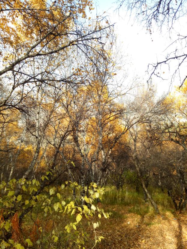 张北天路行,深度还原张北天路