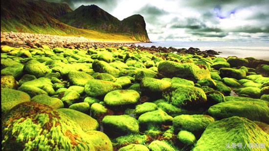 长虹chiq和普通电视有什么区别,长虹chiq电视8k和4k优势