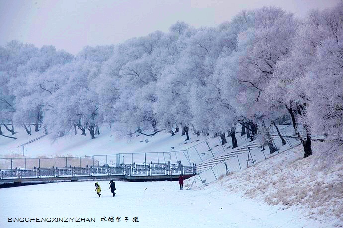 哈尔滨太阳岛的冬天照片,哈尔滨太阳岛的冬天有多美
