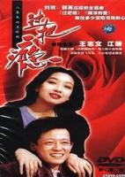 80年代我们一起追过的电视剧,那些年追过经典电视剧