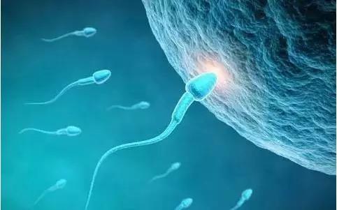 继杀精之后，可乐又多一个“损伤基因”的罪名