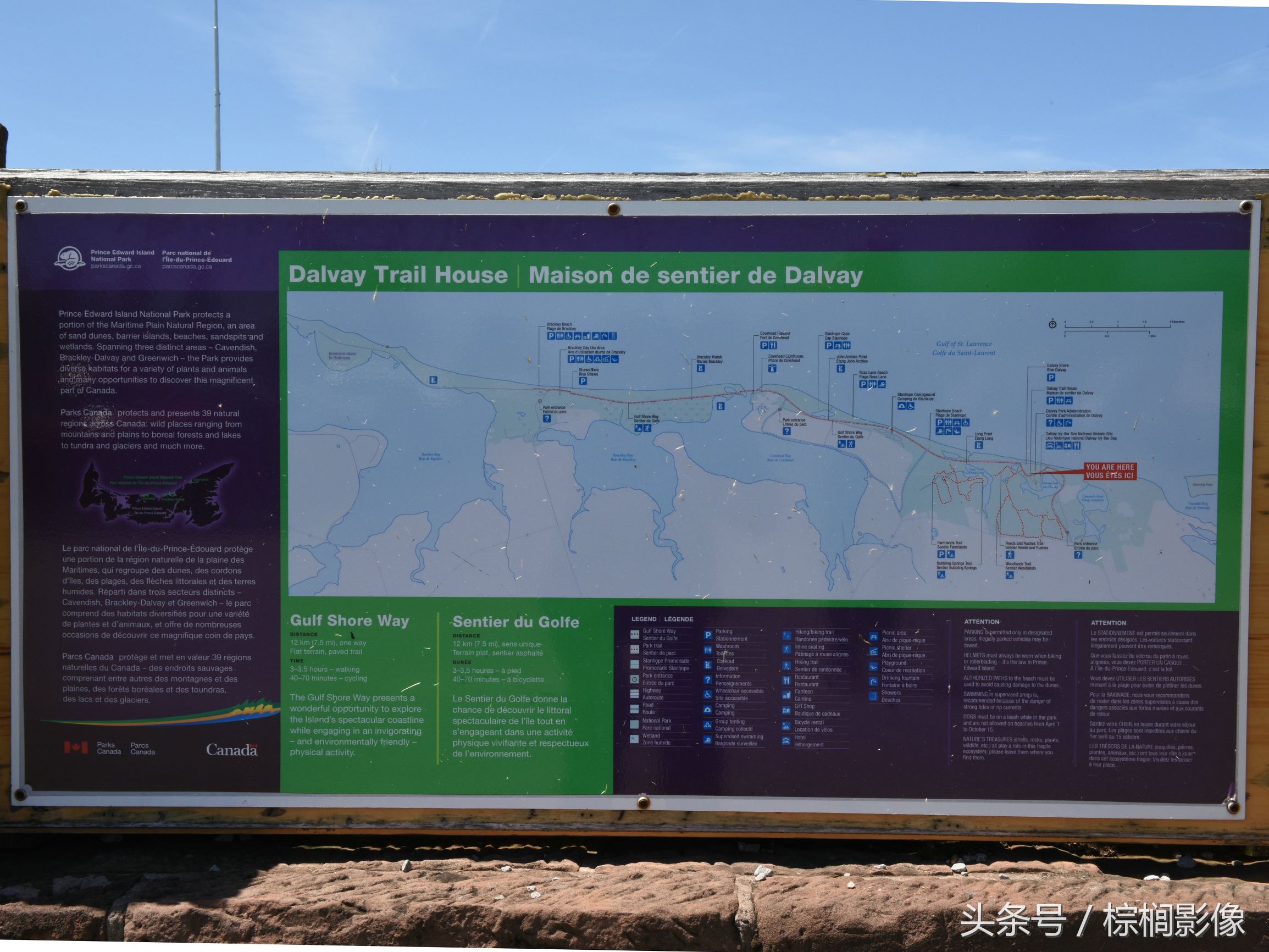 鐖卞痉鍗庣帇瀛愬矝鏈夋病鏈夊畨濡繖涓汉,缁垮北澧欑殑瀹夊Ξ鐖卞痉鍗庣帇瀛愬矝