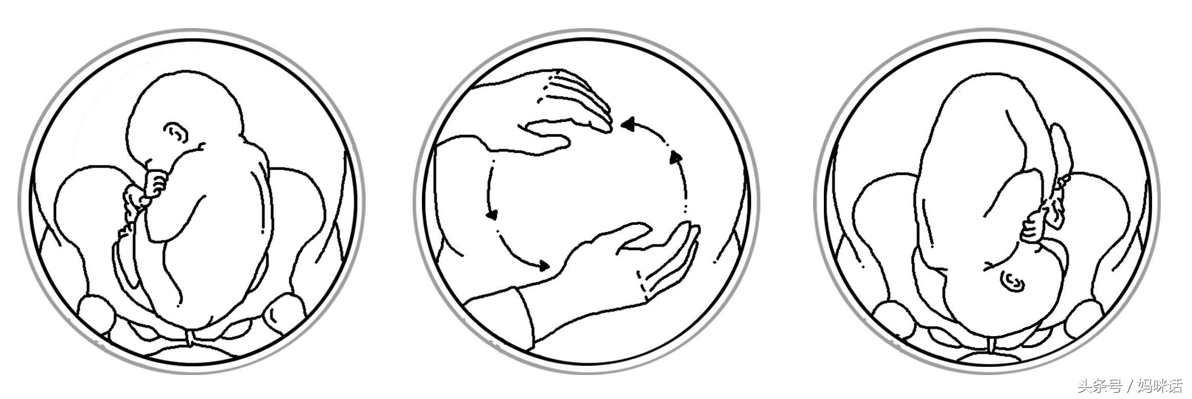 怀孕宝典软件哪个好用,怀孕宝典哪个好