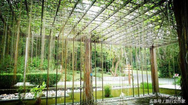 西双版纳避寒城市,冬日西双版纳市区