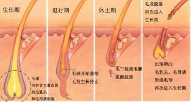 激光脱毛后多久可以去游泳,激光脱毛后多久能涂爽肤水