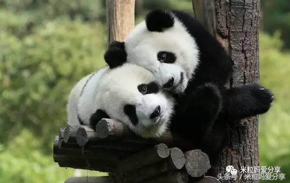 广州亲子游5天自由行不累,适合带宝宝去的亲子游