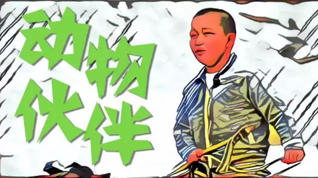 央视启航2020晚会,央视少儿元旦