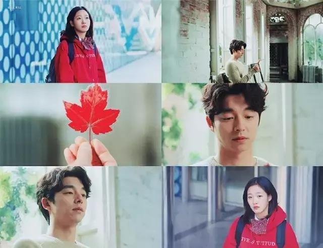 李圣经超酷片段,奶酪陷阱李圣经金高银片段