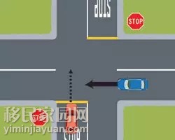 新西兰自驾交通规则最新,在新西兰开车技巧