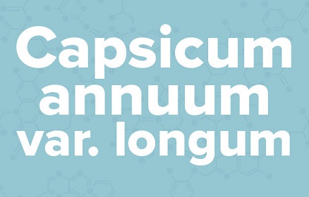 apple苹果的英语是什么,苹果的英语为什么是anapple