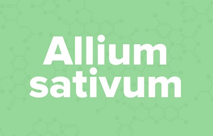 苹果的英文不是apple,苹果的英文发音是apple还是apple