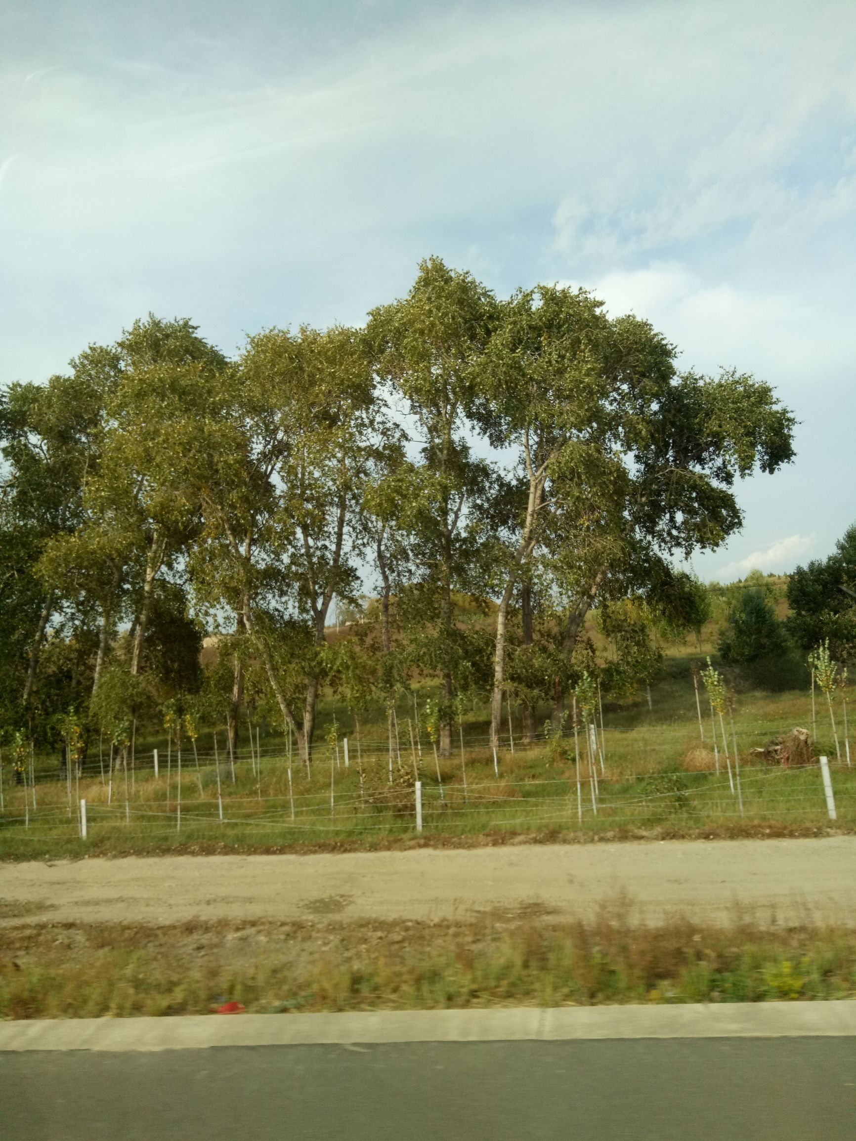 张北天路行,深度还原张北天路