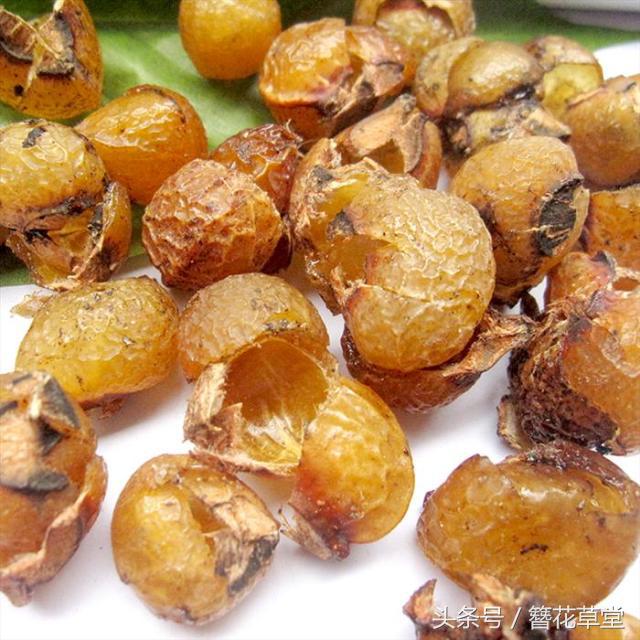 能美容的植物，你小时候见过吗？