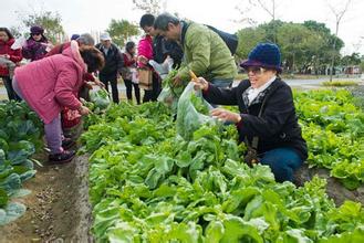 年赚30W起适合农村的创业项目，抓住这些商机让你少奋斗十年