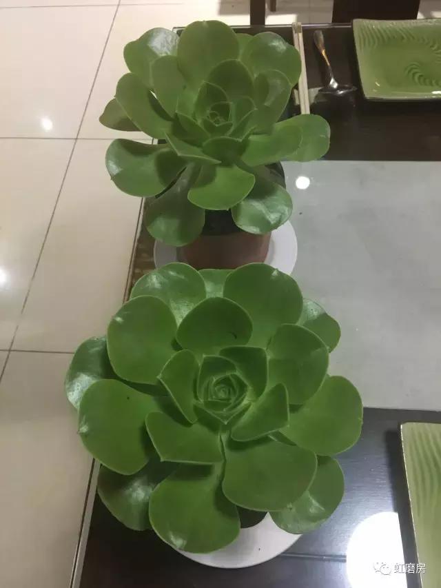 北京30家探店,北京探店最好的地方