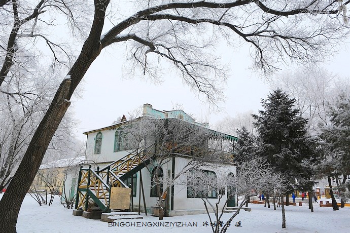 哈尔滨太阳岛的冬天照片,哈尔滨太阳岛的冬天有多美