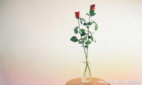 晚安心语微信祝福语录图片,微信晚安心情语录经典