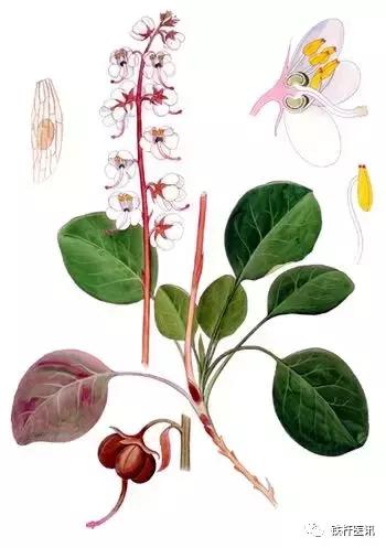 大国医张学文治疗脑梗,大医张学文