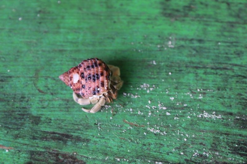 帕劳旅行攻略大全图文,帕劳旅行攻略图文大全