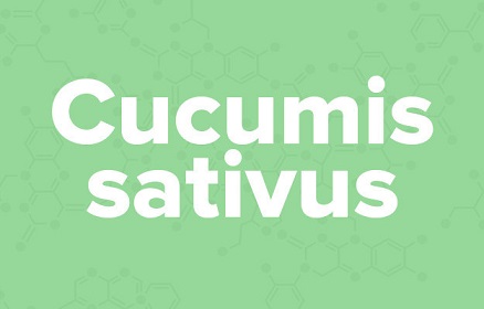 苹果的英文不是apple,苹果的英文发音是apple还是apple