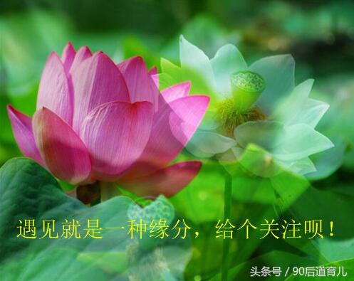 宝宝用什么奶瓶安全健康？宝宝奶瓶品牌排行榜，看看哪家好！