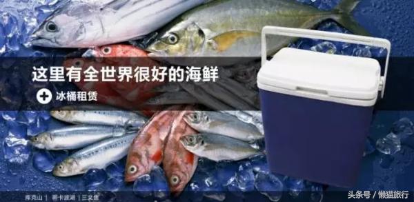 新西兰旅游驾车攻略图大全,新西兰开车自驾游注意事项