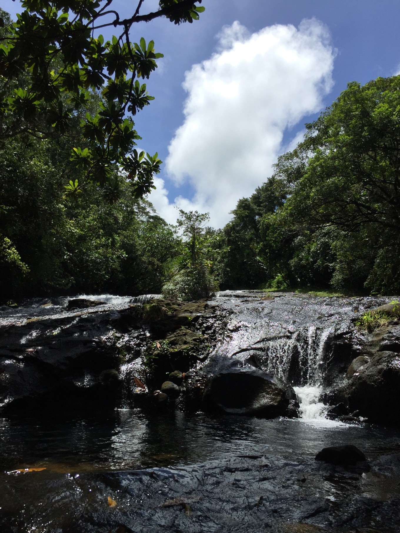 帕劳旅行攻略大全图文,帕劳旅行攻略图文大全