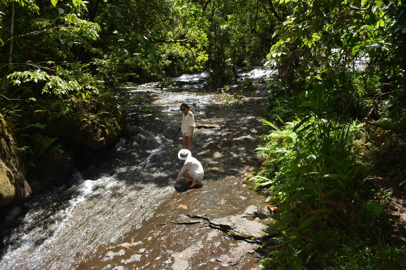 帕劳旅行攻略大全图文,帕劳旅行攻略图文大全