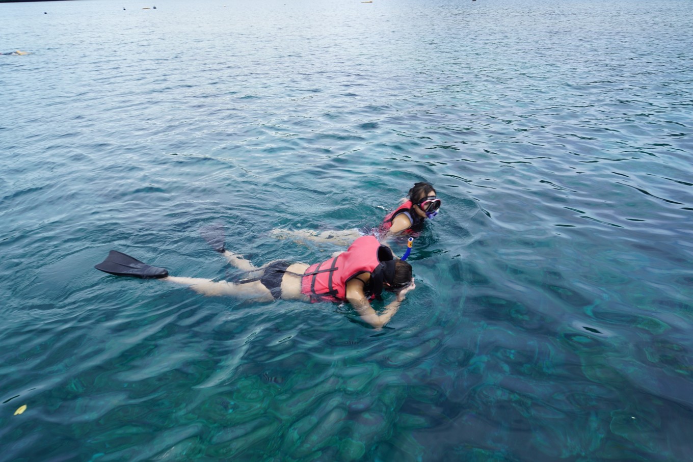 帕劳旅行攻略大全图文,帕劳旅行攻略图文大全