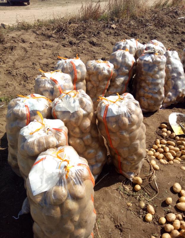 张北的草原天路之旅,张北天路攻略