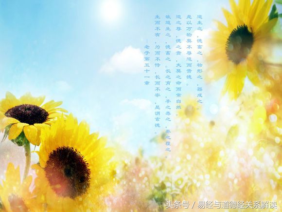 道德经核心思想平衡法则,道德经中最佳处世之法