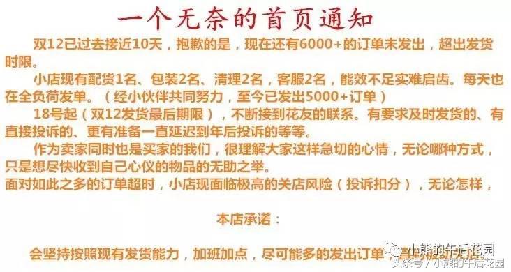 一九九六年历史大事,17年多肉市场变化趋势