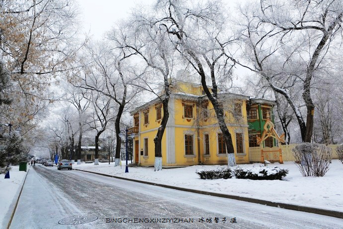 哈尔滨太阳岛的冬天照片,哈尔滨太阳岛的冬天有多美