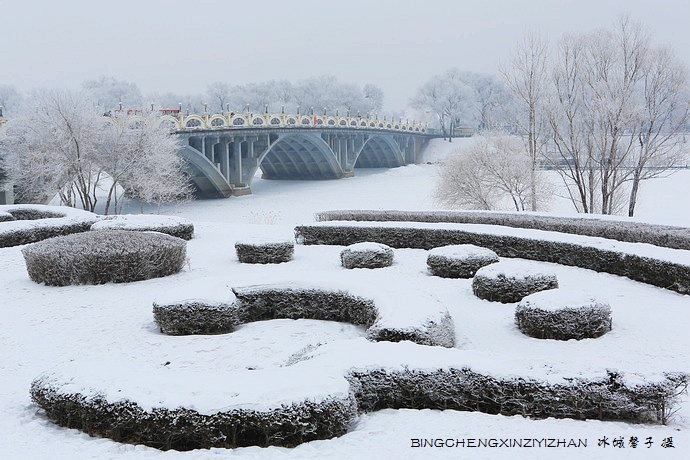 哈尔滨太阳岛的冬天照片,哈尔滨太阳岛的冬天有多美