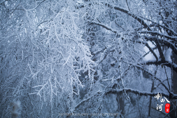 「成都躲霾攻略」喇叭河的圣诞奇缘