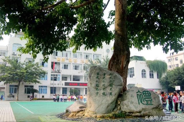 高新最好的小学有哪些,高新区小学最好的是哪个学校