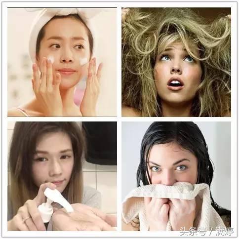 养宠物你要喂什么给它吃,当你的宠物吃下了你不知道的东西